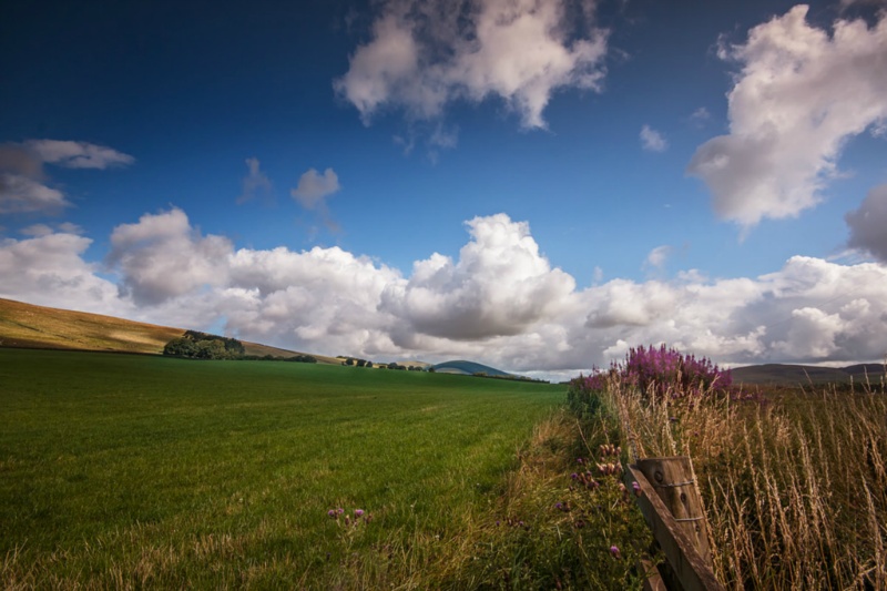 The yardman was in the building